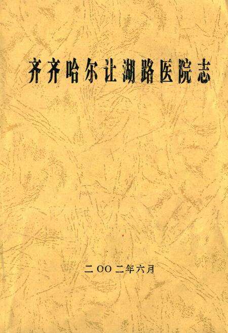《齐齐哈尔让湖路医院志》.pdf电子版_黑龙江省志缩略图