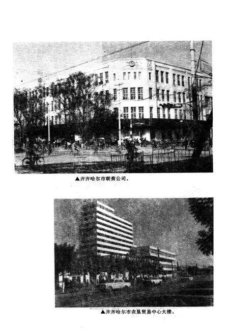 《齐齐哈尔市商业志》.pdf电子版_黑龙江省志预览图3