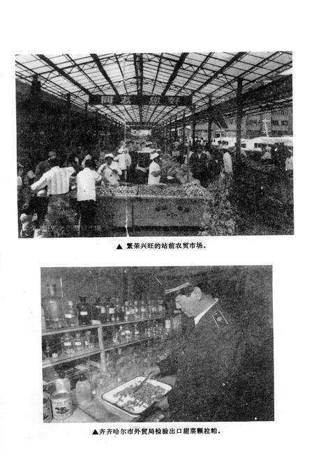 《齐齐哈尔市商业志》.pdf电子版_黑龙江省志预览图5