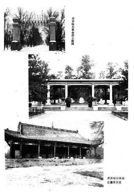 《齐齐哈尔市民政志》.pdf电子版_黑龙江省志预览图4