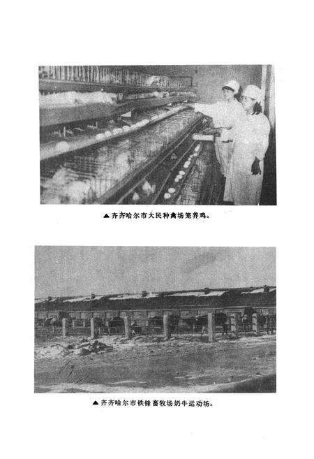 《齐齐哈尔市农业志》.pdf电子版_黑龙江省志预览图1