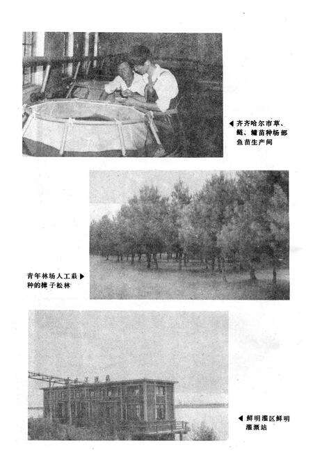 《齐齐哈尔市农业志》.pdf电子版_黑龙江省志预览图2