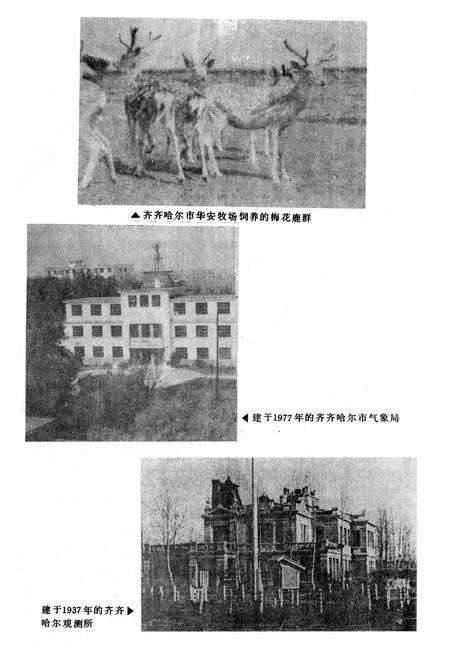 《齐齐哈尔市农业志》.pdf电子版_黑龙江省志预览图3