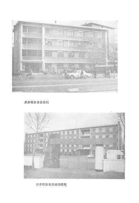 《齐齐哈尔市劳动志》.pdf电子版_黑龙江省志预览图4