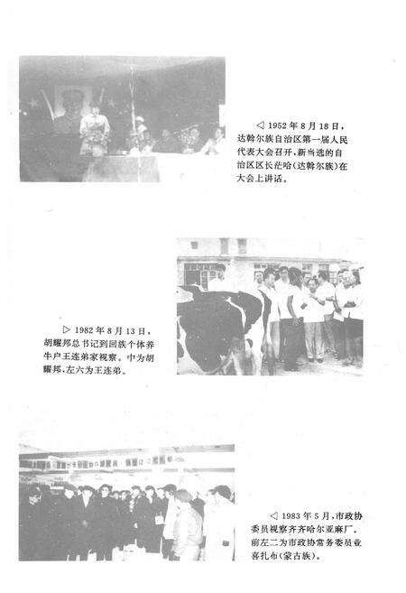 《齐齐哈尔市民族志》.pdf电子版_黑龙江省志预览图5