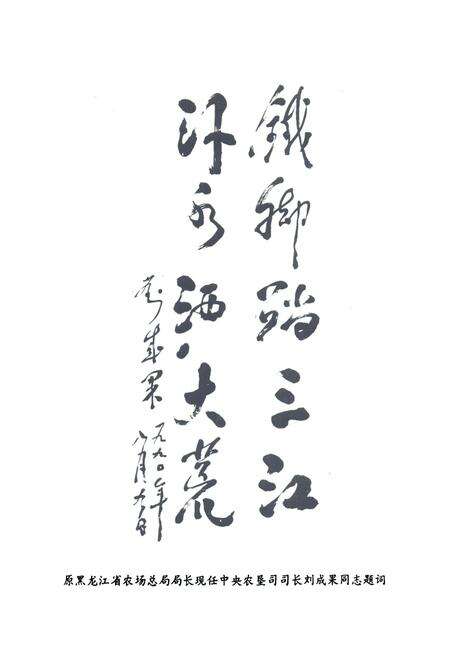 《黑龙江农垦勘测设计院院志》.pdf电子版_黑龙江省志预览图3