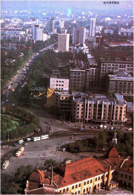 《黑龙江省建设志》.pdf电子版_黑龙江省志预览图4