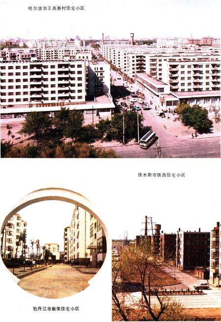《黑龙江省建设志》.pdf电子版_黑龙江省志预览图5