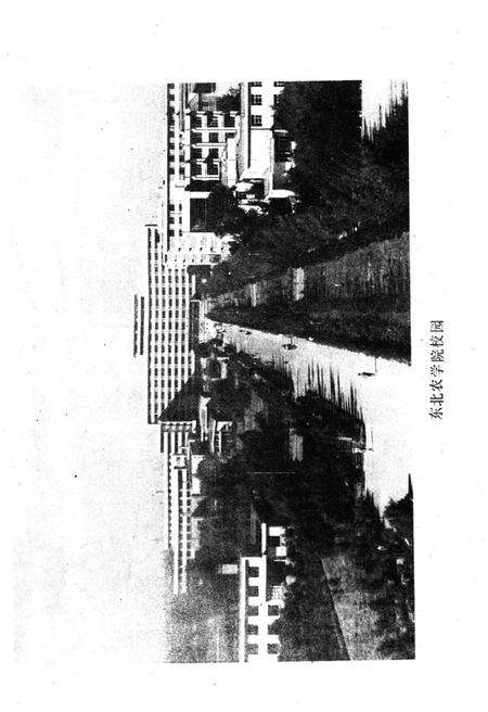 《东北农学院校史 1948-1988》.pdf电子版_黑龙江省志预览图3