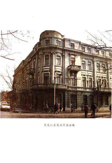 《黑龙江商业通览 上》.pdf电子版_黑龙江省志预览图4