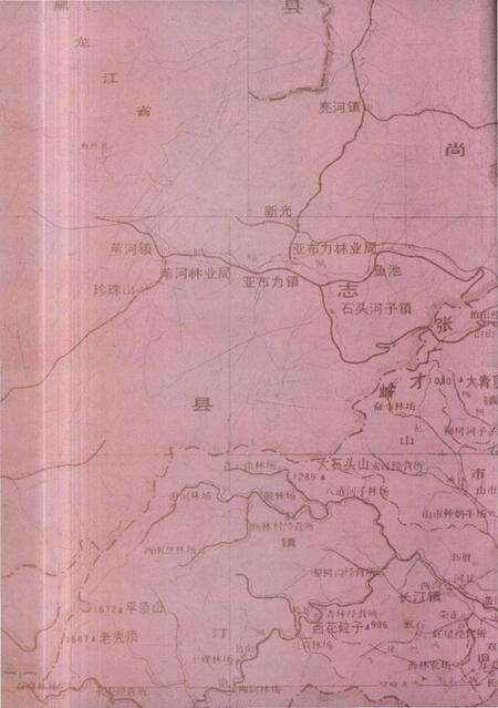 《海林市朝鲜族志》.pdf电子版_黑龙江省志预览图2