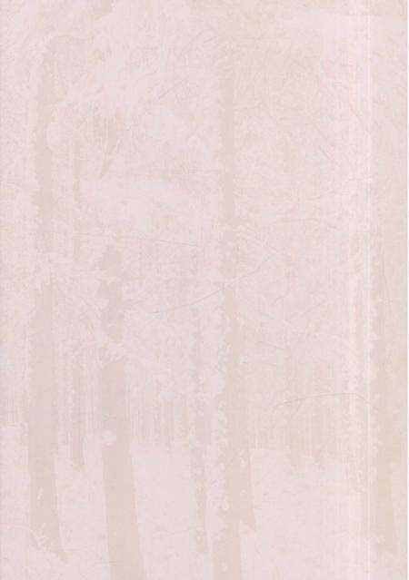 《海林市朝鲜族志》.pdf电子版_黑龙江省志预览图5