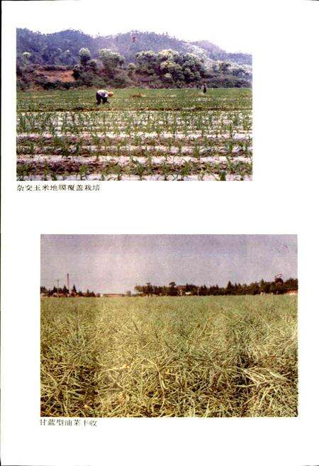 《湖北省志 农业（上）》.pdf电子版_湖北省志预览图4