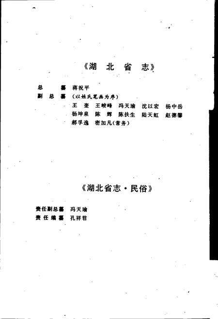 《湖北省志 民俗方言》.pdf电子版_湖北省志预览图4