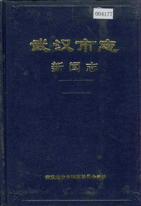 《武汉市志 新闻志》.pdf电子版_湖北省志缩略图
