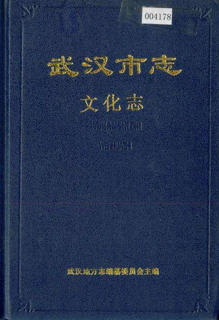 《武汉市志 文化志》.pdf电子版_湖北省志缩略图