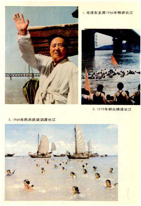 《武汉市志 体育志》.pdf电子版_湖北省志预览图2