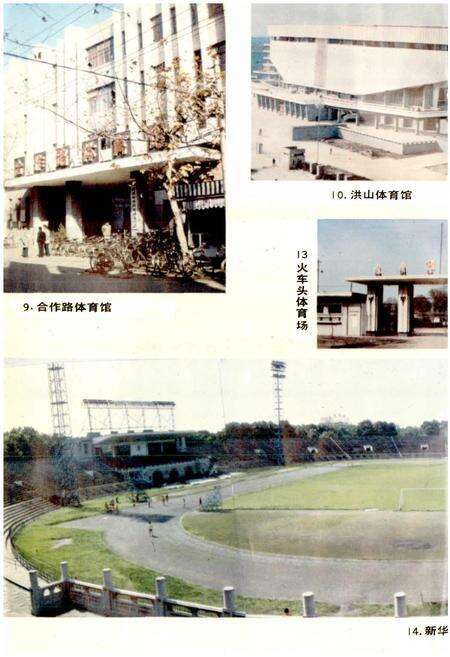 《武汉市志 体育志》.pdf电子版_湖北省志预览图5