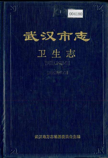 《武汉市志 卫生志》.pdf电子版_湖北省志缩略图