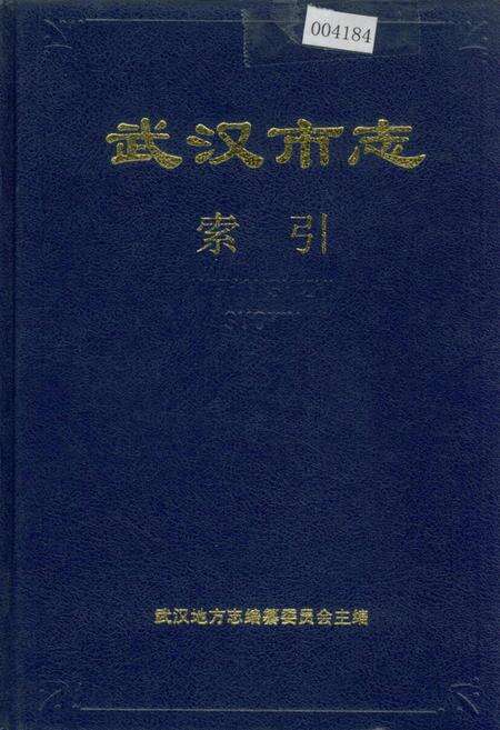 《武汉市志 索引（上）》.pdf电子版_湖北省志缩略图