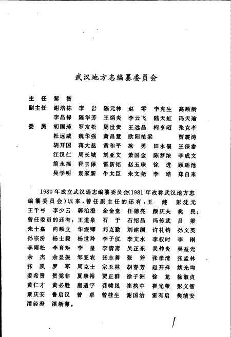 《武汉市志 工业志 上卷》.pdf电子版_湖北省志预览图3