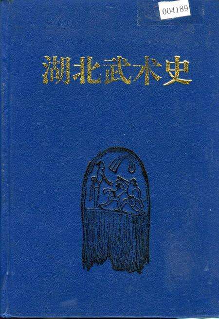 《湖北武术史》.pdf电子版_湖北省志缩略图