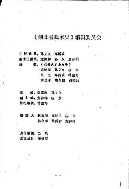 《湖北武术史》.pdf电子版_湖北省志预览图2