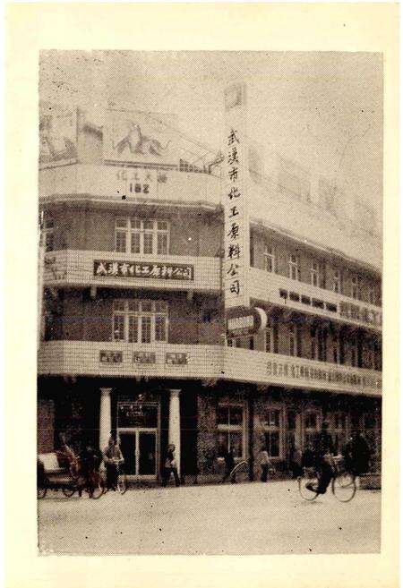 《武汉化工原料行业志》.pdf电子版_湖北省志预览图3