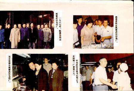 《武汉纺织工业》.pdf电子版_湖北省志预览图5