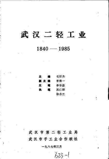 《武汉二轻工业》.pdf电子版_湖北省志预览图1