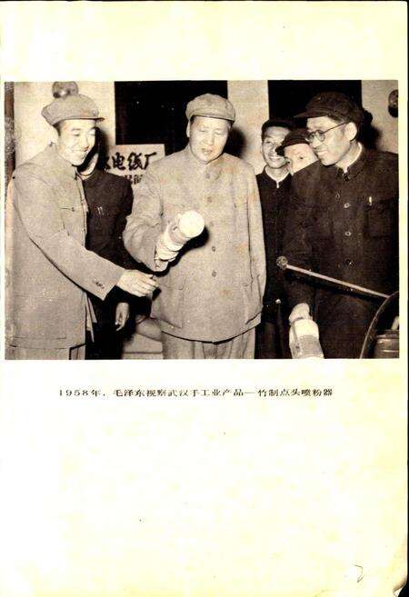 《武汉二轻工业》.pdf电子版_湖北省志预览图5