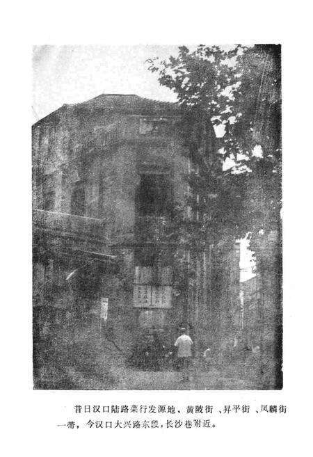 《武汉市蔬菜行业》.pdf电子版_湖北省志预览图5