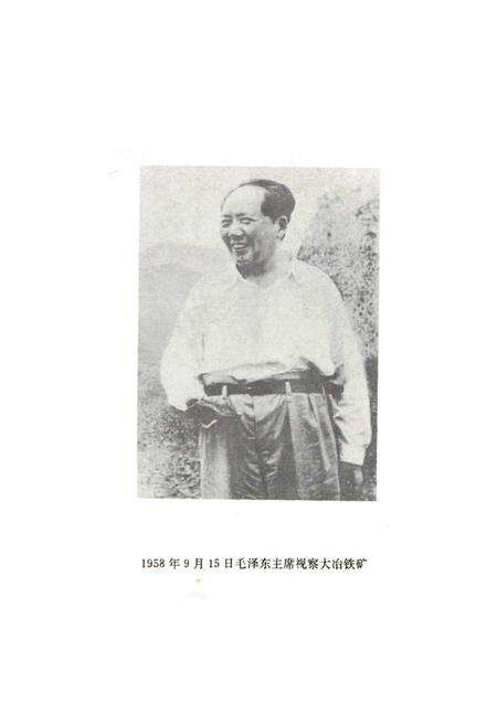 《冶矿团志》.pdf电子版_湖北省志预览图5