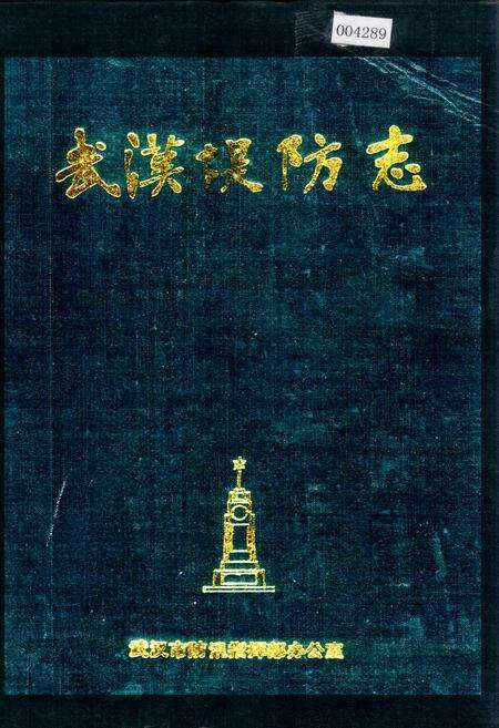 《武汉堤防志》.pdf电子版_湖北省志缩略图