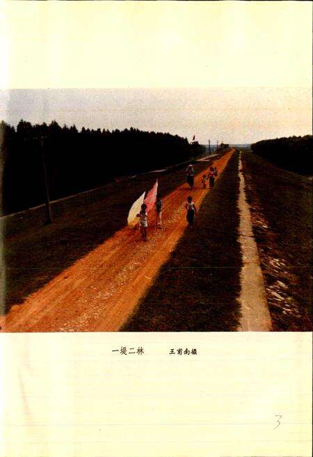 《四邑公堤志》.pdf电子版_湖北省志预览图4