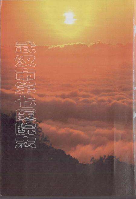 《武汉市第七医院志》.pdf电子版_湖北省志预览图1