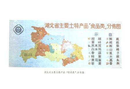 《湖北省供销合作社志》.pdf电子版_湖北省志预览图2