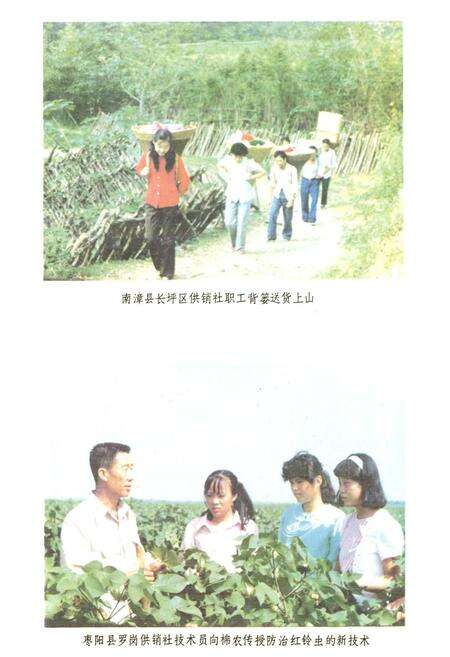 《湖北省供销合作社志》.pdf电子版_湖北省志预览图3