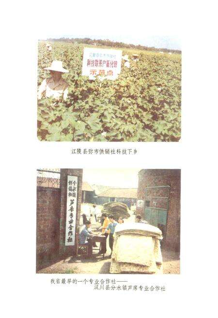 《湖北省供销合作社志》.pdf电子版_湖北省志预览图4