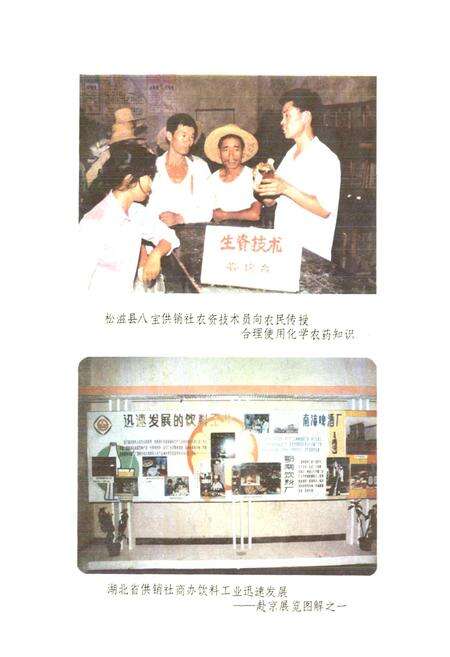 《湖北省供销合作社志》.pdf电子版_湖北省志预览图5