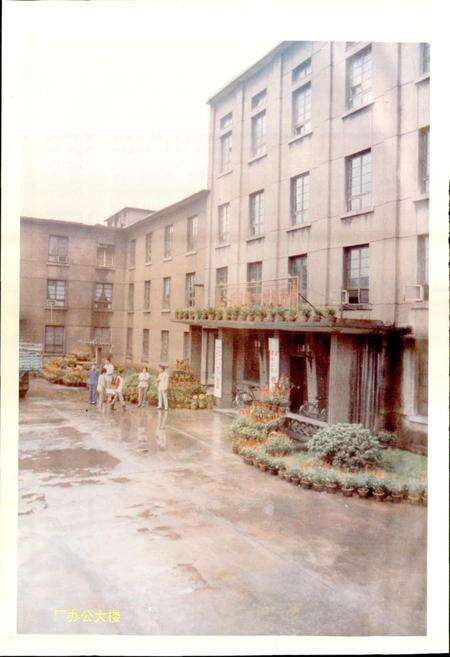 《燃气厂志》.pdf电子版_湖北省志预览图3