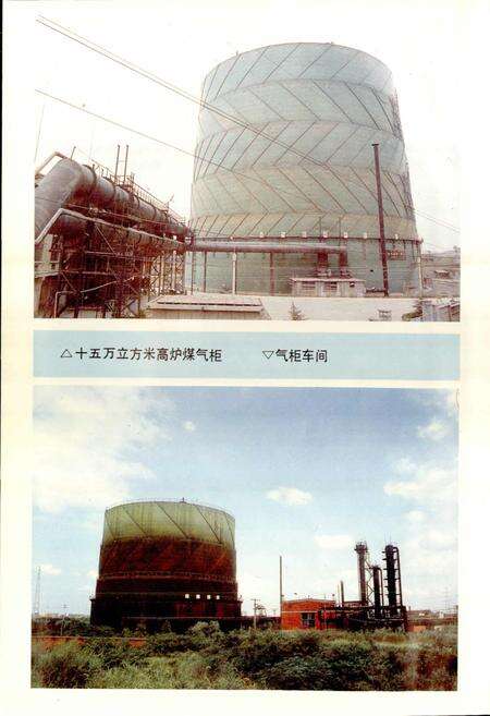 《燃气厂志》.pdf电子版_湖北省志预览图5