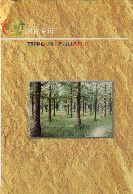 《武钢计控厂厂志》.pdf电子版_湖北省志预览图3