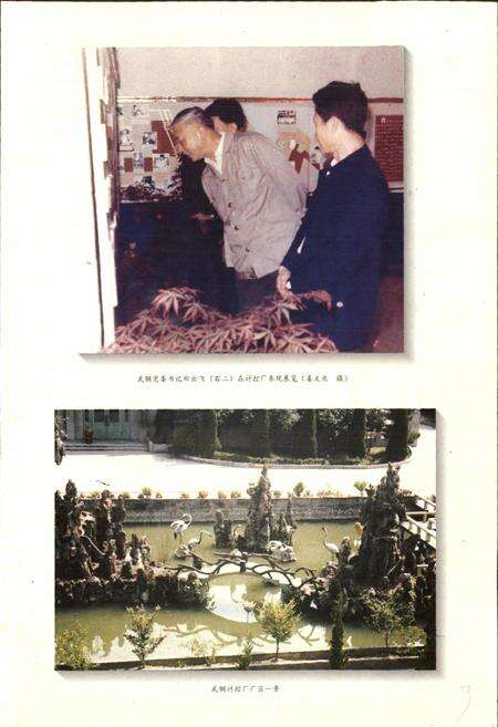 《武钢计控厂厂志》.pdf电子版_湖北省志预览图5