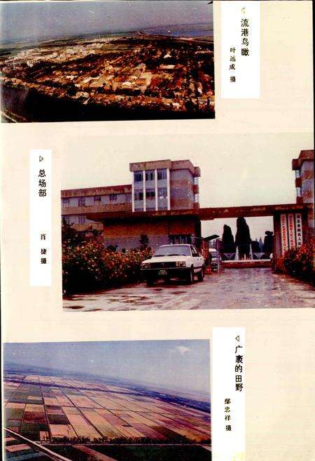 《人民大垸农场志》.pdf电子版_湖北省志预览图5