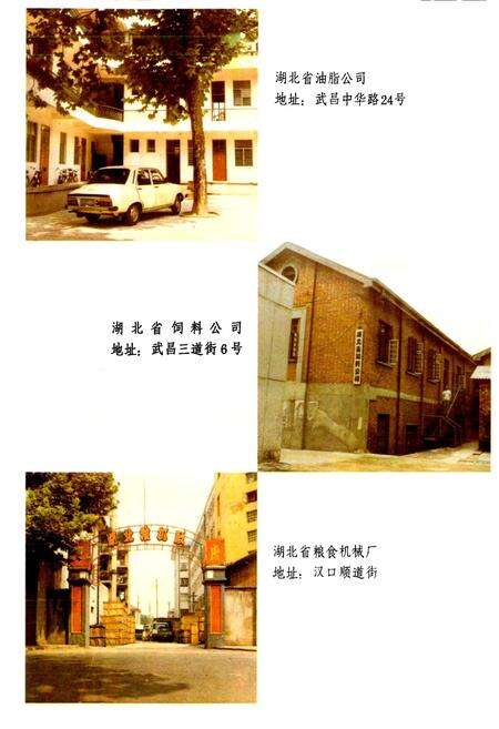 《湖北粮食志》.pdf电子版_湖北省志预览图3