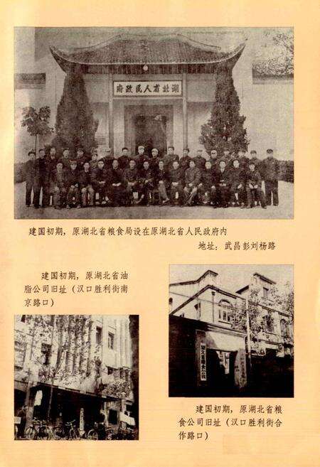 《湖北粮食志》.pdf电子版_湖北省志预览图4