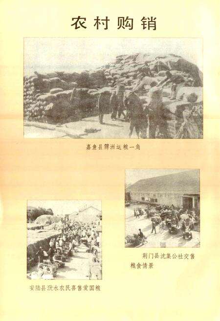 《湖北粮食志》.pdf电子版_湖北省志预览图5