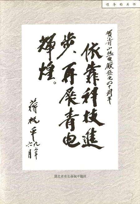 《湖北省青山热电厂志》.pdf电子版_湖北省志预览图4