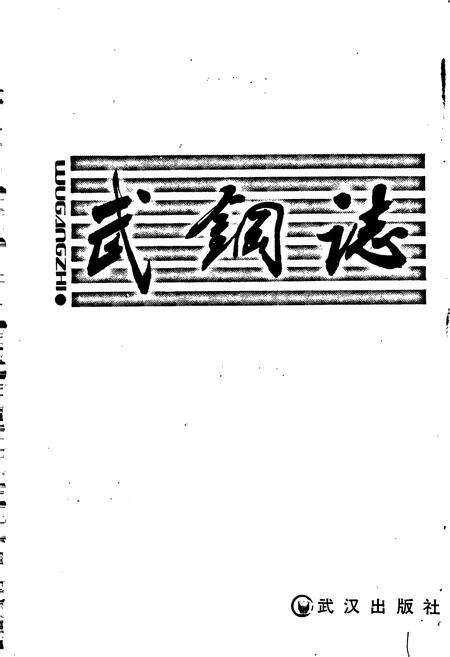 《武钢志》.pdf电子版_湖北省志预览图1